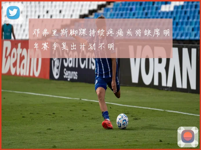 邓弗里斯脚踝持续疼痛或将缺席明年赛季复出计划不明