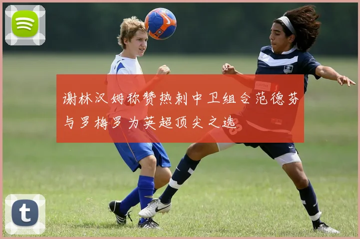 谢林汉姆称赞热刺中卫组合范德芬与罗梅罗为英超顶尖之选